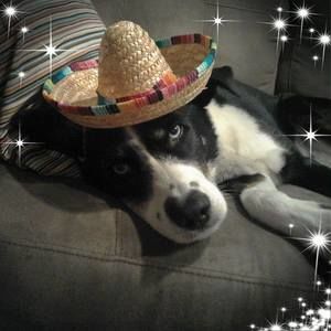 Meet your Posher, Carla